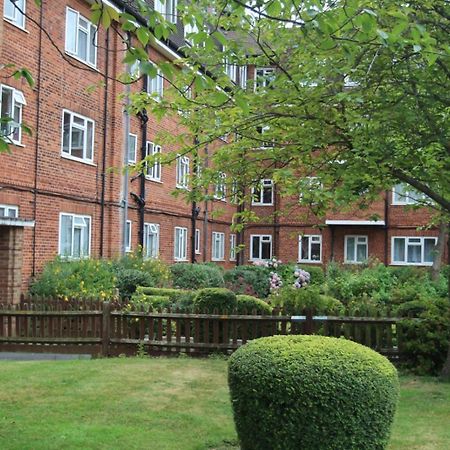 Wonderful Apartment In Wembley 伦敦 外观 照片